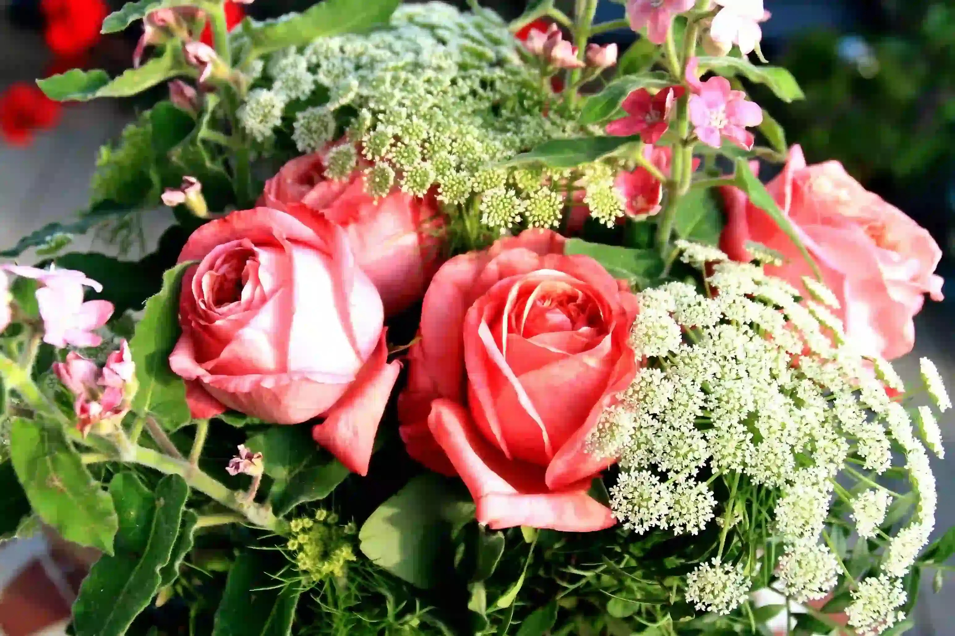 Blumenhintergrund